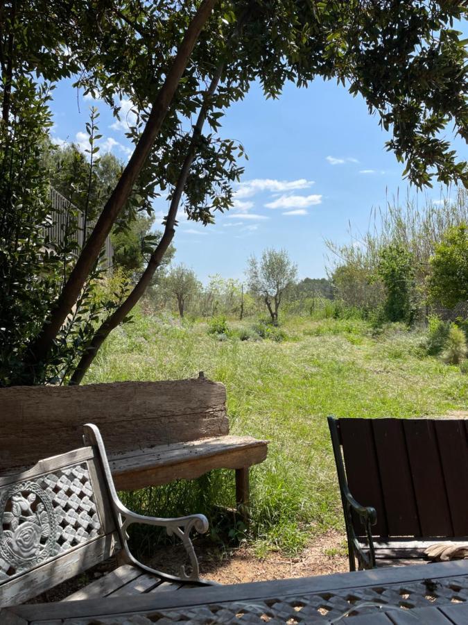 Casa Rural Con Jardin,A 8Km Playa Y En La Naturaleza Taronja&Canyella Ardenya Luaran gambar