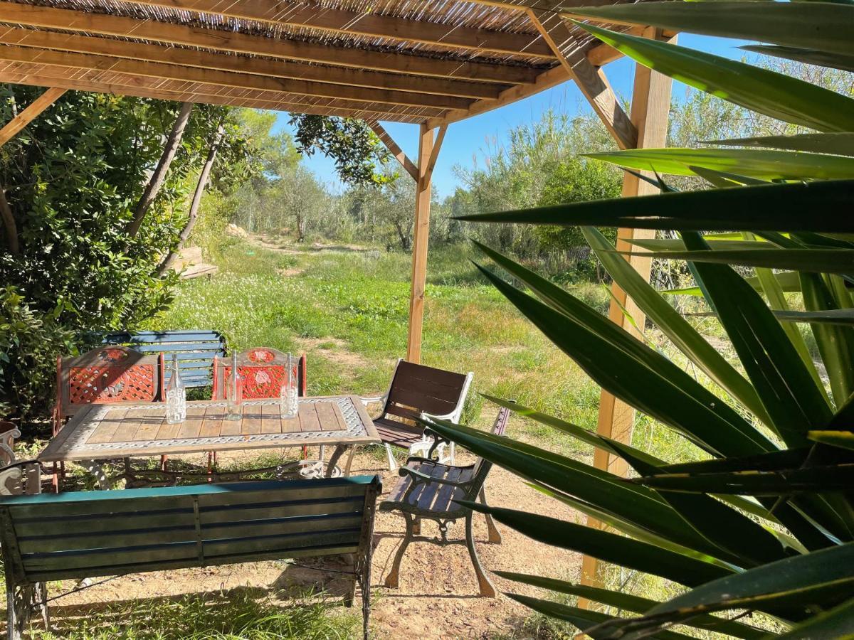 Casa Rural Con Jardin,A 8Km Playa Y En La Naturaleza Taronja&Canyella Ardenya Luaran gambar
